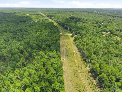 Bryant Bridge Cut Off, Holt, FL 32564 photo 6