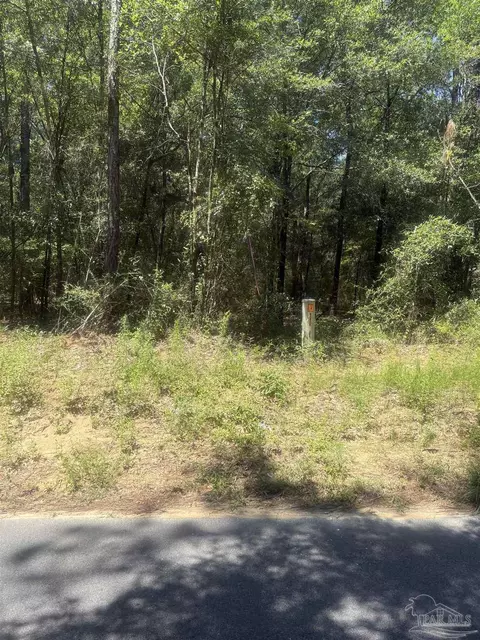Bryant Bridge Cut Off, Holt, FL 32564 photo 3
