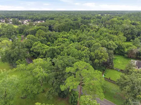 24975 Lavinia Ave, Elberta, AL 36530 photo 16