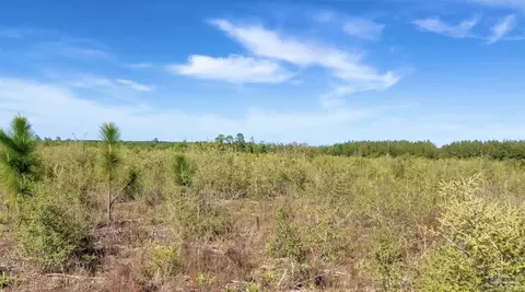 lot58 S Timber Ln, Jay, FL 32565 photo 1
