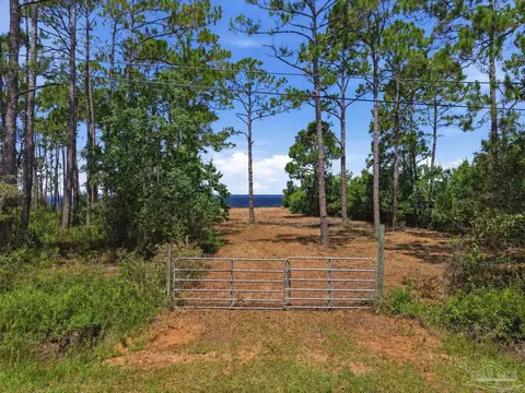 973 Dolphin Rd, Milton, FL 32583 photo 8