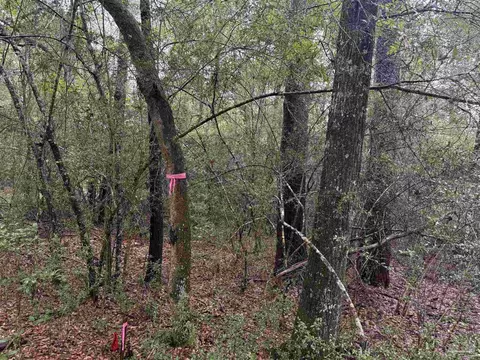 0 Kervin Rd, Crestview, FL 32539 photo 5