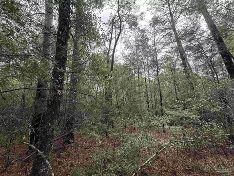 0 Kervin Rd, Crestview, FL 32539 photo 6