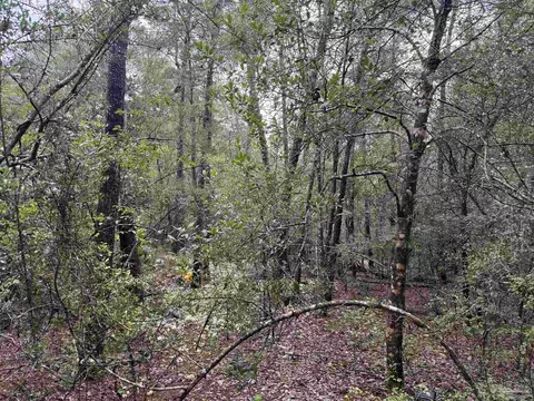 0 Kervin Rd, Crestview, FL 32539 photo 10