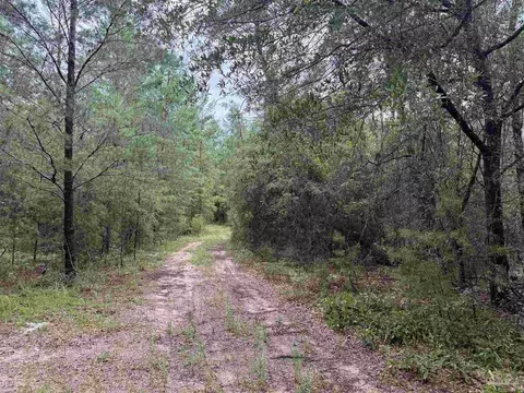 0 Kervin Rd, Crestview, FL 32539 photo 8