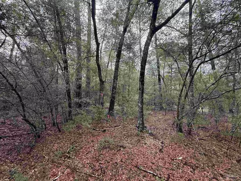 0 Kervin Rd, Crestview, FL 32539 photo 4