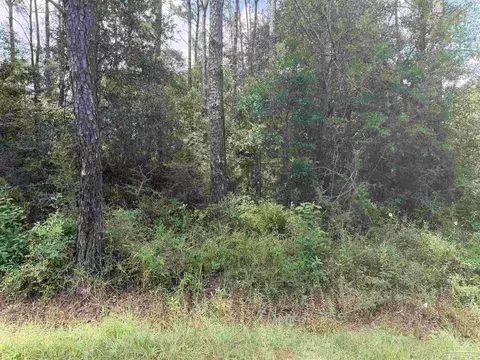 0 N 19th Ave, Milton, FL 32583 photo 12
