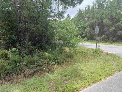 0 N 19th Ave, Milton, FL 32583 photo 13