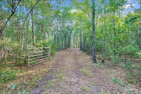 0000 Knight St, Bagdad, FL 32570 photo 10