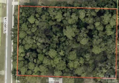 0000 Tilubo Ln, Pace, FL 32571 photo 5
