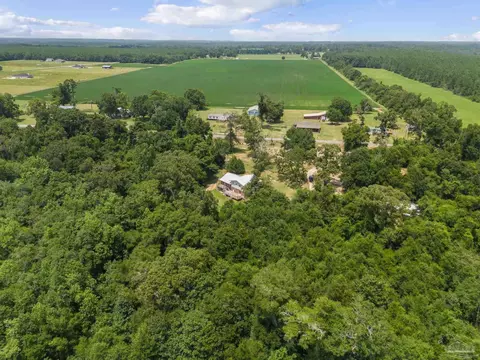 View/Area - 5875 Hall Rd, Jay, FL 32565 photo 7 of 11