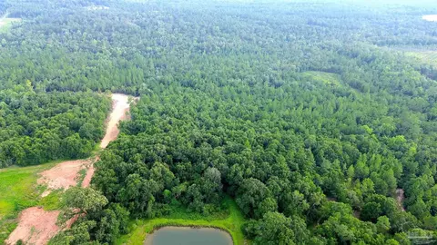 lot1 Mineral Springs Rd, Jay, FL 32565 photo 4