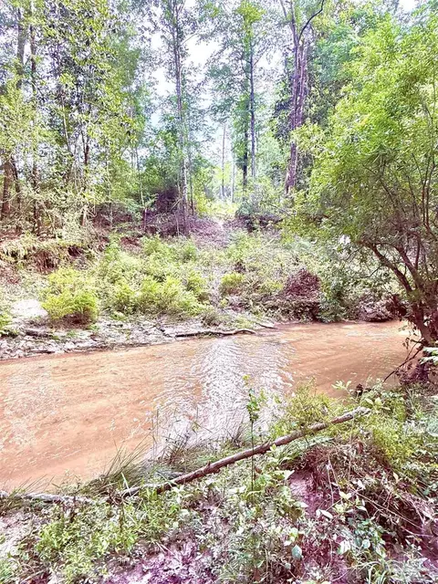 lot1 Mineral Springs Rd, Jay, FL 32565 photo 10