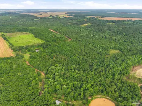 lot1 Mineral Springs Rd, Jay, FL 32565 photo 6
