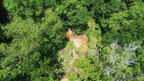 lot1 Mineral Springs Rd, Jay, FL 32565 photo 8