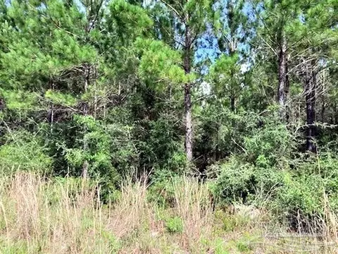 lot35 Teton Crest Dr, Pace, FL 32571 photo 3