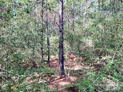 lot35 Teton Crest Dr, Pace, FL 32571 photo 7