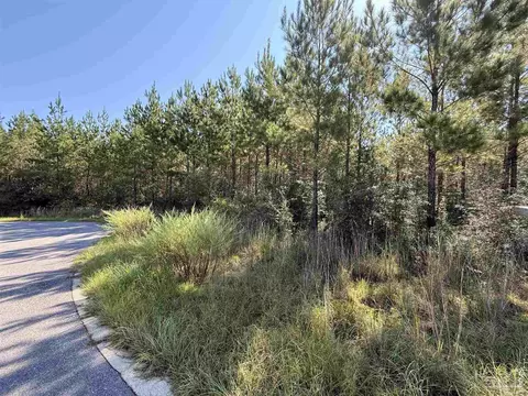 lot35 Teton Crest Dr, Pace, FL 32571 photo 10