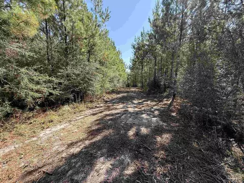 lot35 Teton Crest Dr, Pace, FL 32571 photo 13