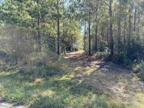 lot35 Teton Crest Dr, Pace, FL 32571 photo 11
