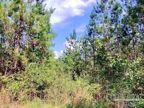 lot35 Teton Crest Dr, Pace, FL 32571 photo 4
