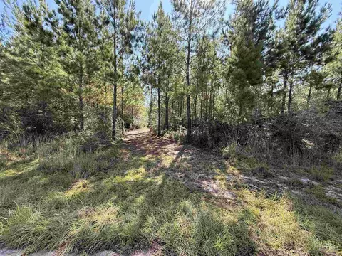 lot35 Teton Crest Dr, Pace, FL 32571 photo 14