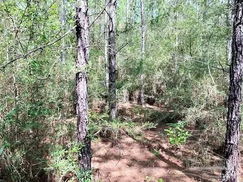 lot35 Teton Crest Dr, Pace, FL 32571 photo 6