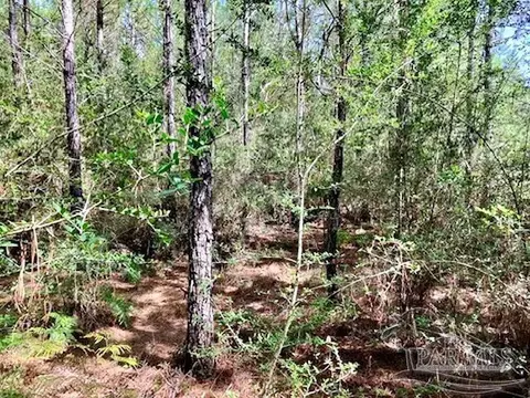 lot35 Teton Crest Dr, Pace, FL 32571 photo 5