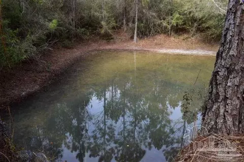 0001 Pat Brown Rd, Milton, FL 32570 photo 2