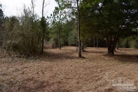 0001 Pat Brown Rd, Milton, FL 32570 photo 12