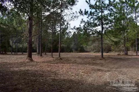 0001 Pat Brown Rd, Milton, FL 32570 photo 26
