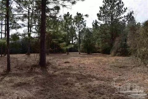 0001 Pat Brown Rd, Milton, FL 32570 photo 5