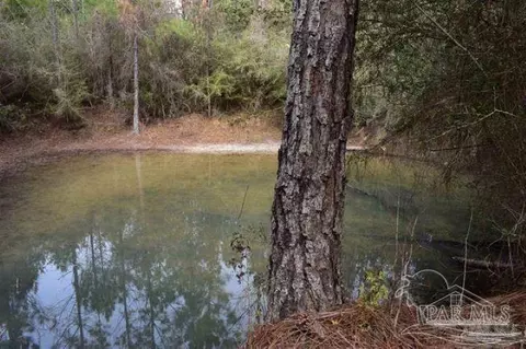 0004 Pat Brown Rd, Milton, FL 32570 photo 14