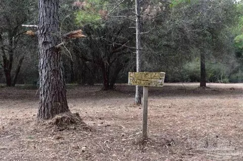 0004 Pat Brown Rd, Milton, FL 32570 photo 8