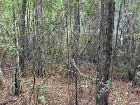 0000 San Raphael Rd, Milton, FL 32583 photo 16
