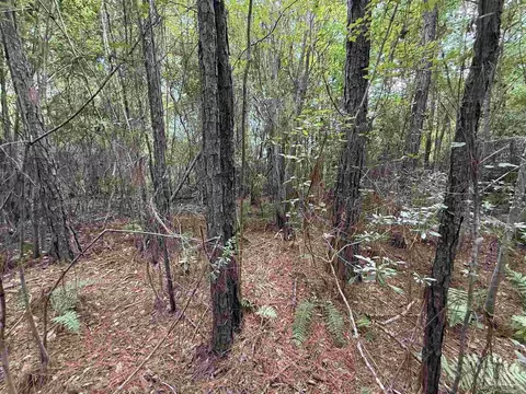 0000 San Raphael Rd, Milton, FL 32583 photo 15