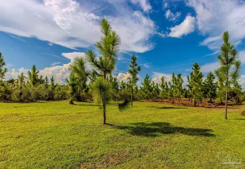 Exterior - 8687 Naturewalk Dr, Jay, FL 32565 photo 5 of 6