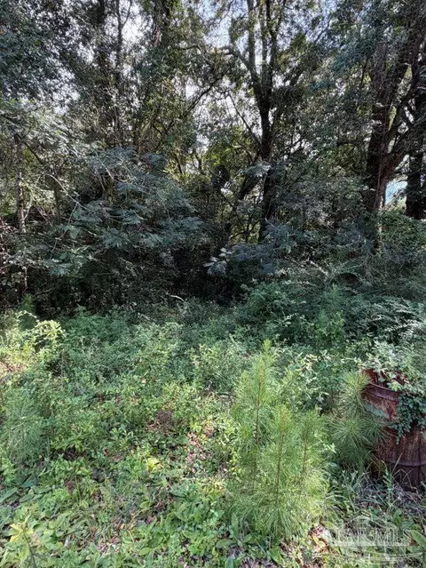 Other - 3482 Smyer Dr, Pace, FL 32571 photo 11 of 11