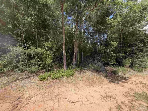 0 Boots Ln, Milton, FL 32570 photo 15