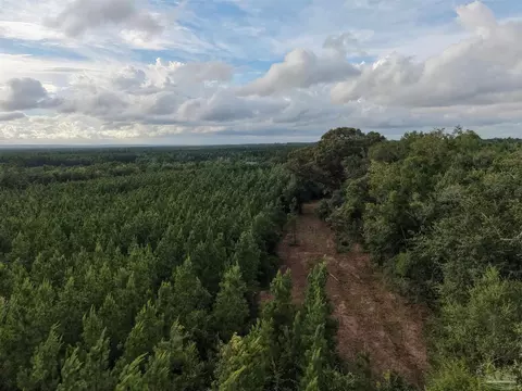 000 Watson Rd, Chumuckla, FL 32571 photo 6