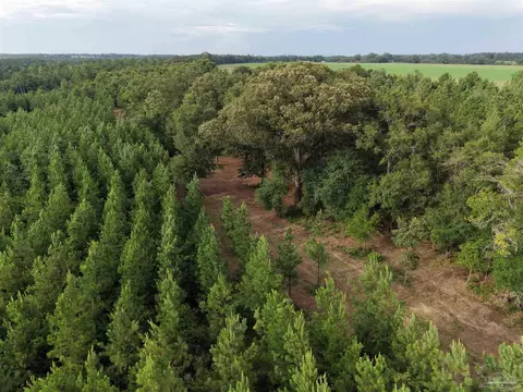 000 Watson Rd, Chumuckla, FL 32571 photo 5