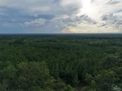 000 Watson Rd, Chumuckla, FL 32571 photo 9