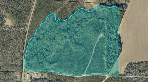000 Watson Rd, Chumuckla, FL 32571 photo 2