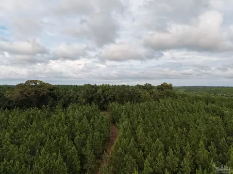 000 Watson Rd, Chumuckla, FL 32571 photo 3