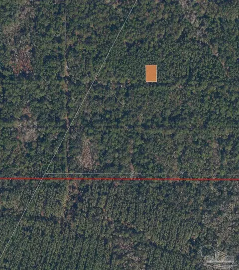 214 Garrison Ave, Georgetown, FL 32139 photo 2