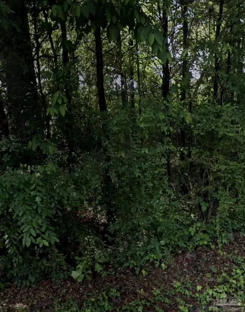 645 Pineview Rd, Trussville, AL 35173