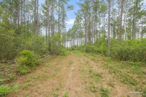 8260 Gin Rd, North Pace, FL 32571 photo 4
