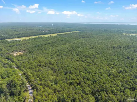 Parcel 4 Pearson Rd, Milton, FL 32583 photo 11