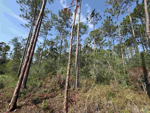 000 N 23rd Ave, Milton, FL 32583 photo 4