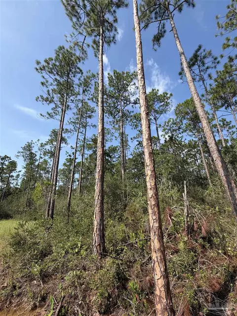000 N 23rd Ave, Milton, FL 32583 photo 6